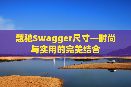 蔻驰Swagger尺寸—时尚与实用的完美结合