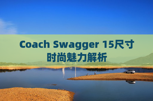 Coach Swagger 15尺寸时尚魅力解析