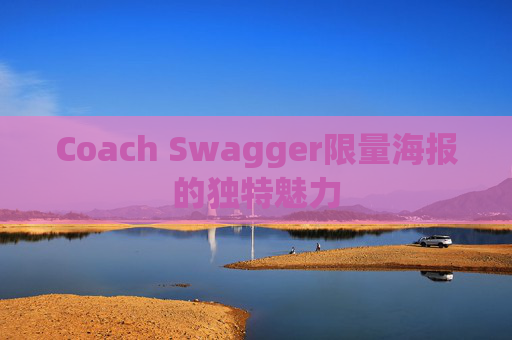Coach Swagger限量海报的独特魅力